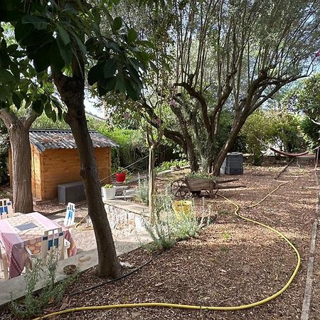 Appartamento Jardin & Terrasse Ombragee - T2 Cozy Et Paisible La Garde  Esterno foto