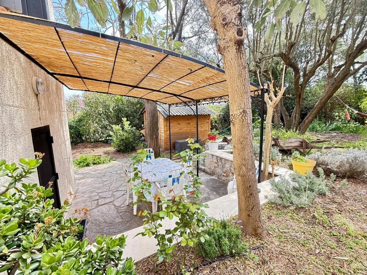Appartamento Jardin & Terrasse Ombragee - T2 Cozy Et Paisible La Garde  Esterno foto